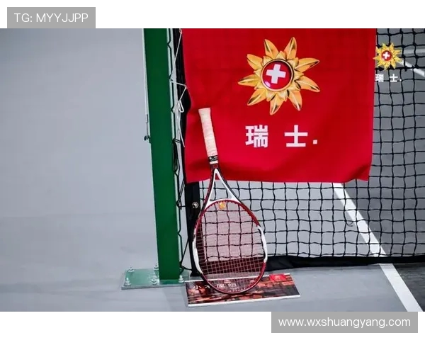 南京网球队的转型之路探索与挑战全景报道 南京网球队的转型之路探索与挑战全景报道