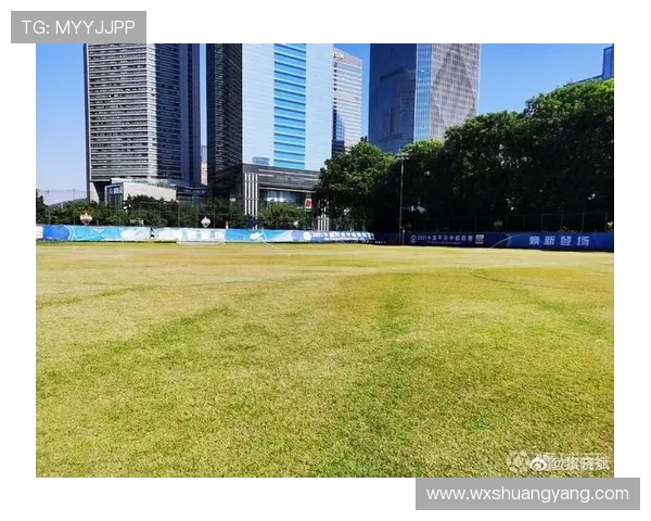 广州乒乓球队实力解析:从训练到比赛的全方位探讨与展望 广州乒乓球队实力解析:从训练到比赛的全方位探讨与展望