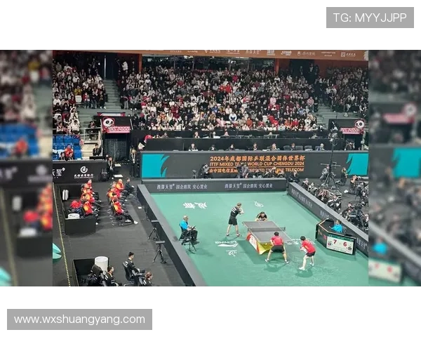 成都乒乓球队比赛经验分析及其对未来赛事表现的影响探讨