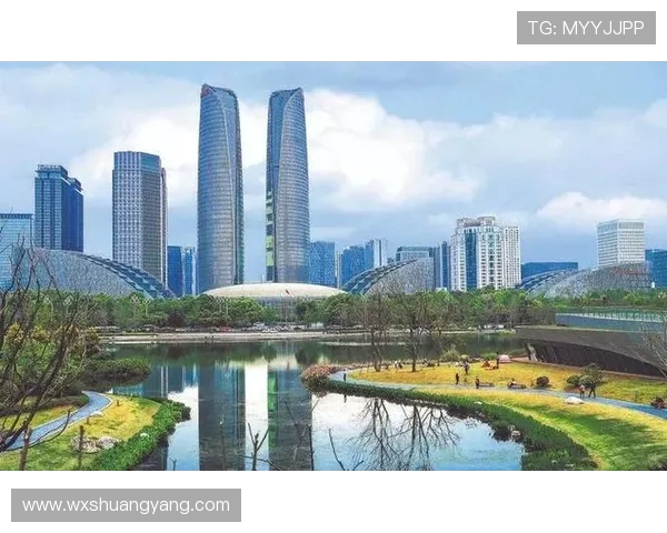 成都羽毛球队在城市联赛中的强劲表现与未来发展潜力分析