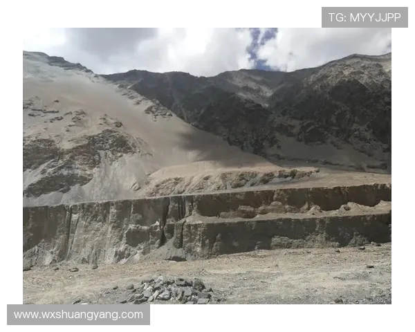 深度对话：探索张敏在和平精英中的成长与挑战之路