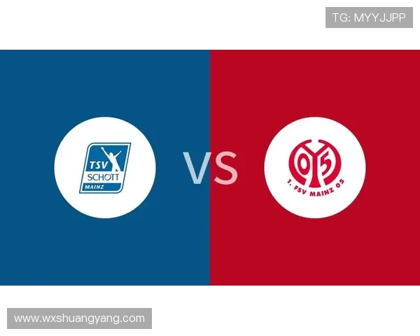 VS美因茨历史战绩分析与球队对比探讨