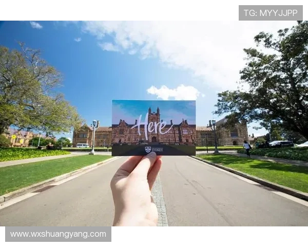 墨尔本骑士与墨尔本港激战在即谁将赢得这场城市德比的荣耀