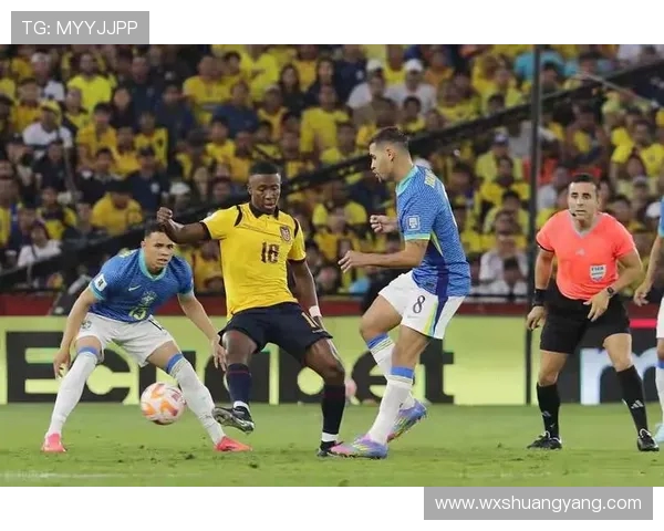 巴西与厄瓜多尔足球对决分析及赛前预测详解