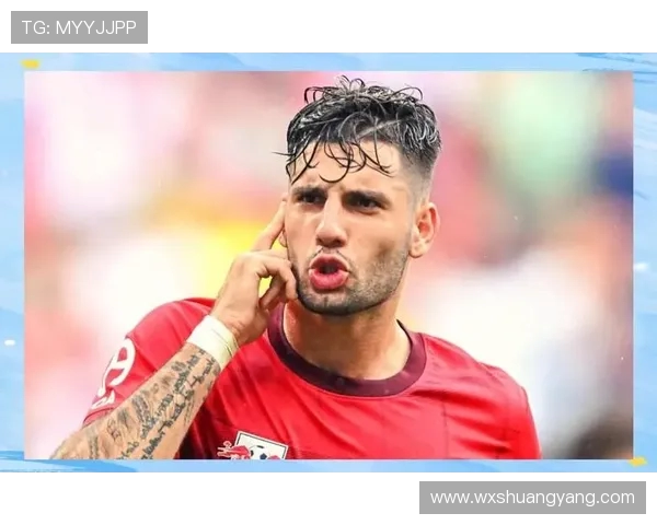 探寻索博斯洛伊的历史与文化魅力，揭开神秘面纱的旅程之旅