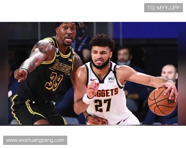 湖人对决掘金精彩直播全程回顾与赛后分析尽在这里