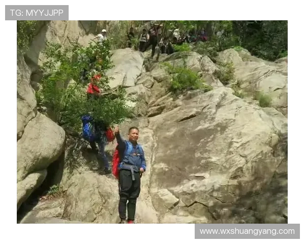 西安攀岩队战术揭秘：探索团队协作与技术提升的成功之道