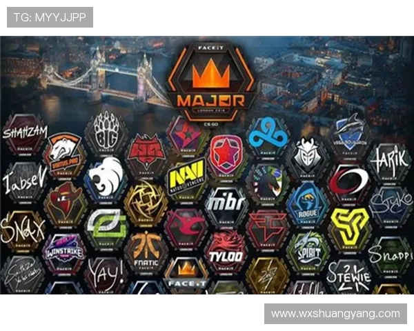 EDG战队在CSGO赛场上的崛起与突破历程全景回顾 EDG战队在CSGO赛场上的崛起与突破历程全景回顾