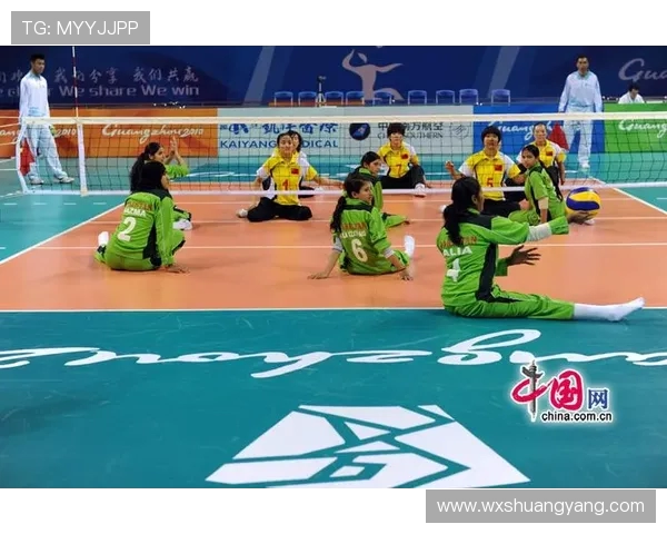 专访赵娜：探寻排球背后的成功秘诀与奋斗历程