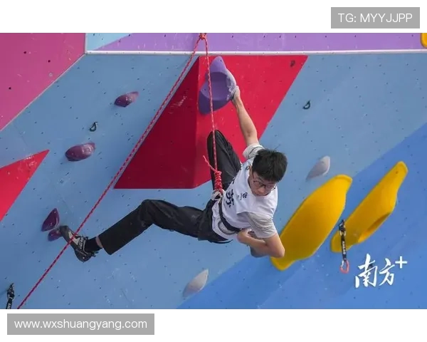 南京攀岩队在全国攀岩状态排行榜中荣获第三名的佳绩引发关注 南京攀岩队在全国攀岩状态排行榜中荣获第三名的佳绩引发关注
